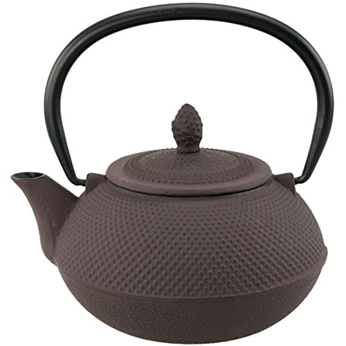 73479 30 Oz Kyusu Cast Iron Tea Pot - Brown