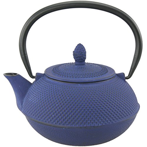 73481 30 Oz Kyusu Cast Iron Tea Pot - Blue