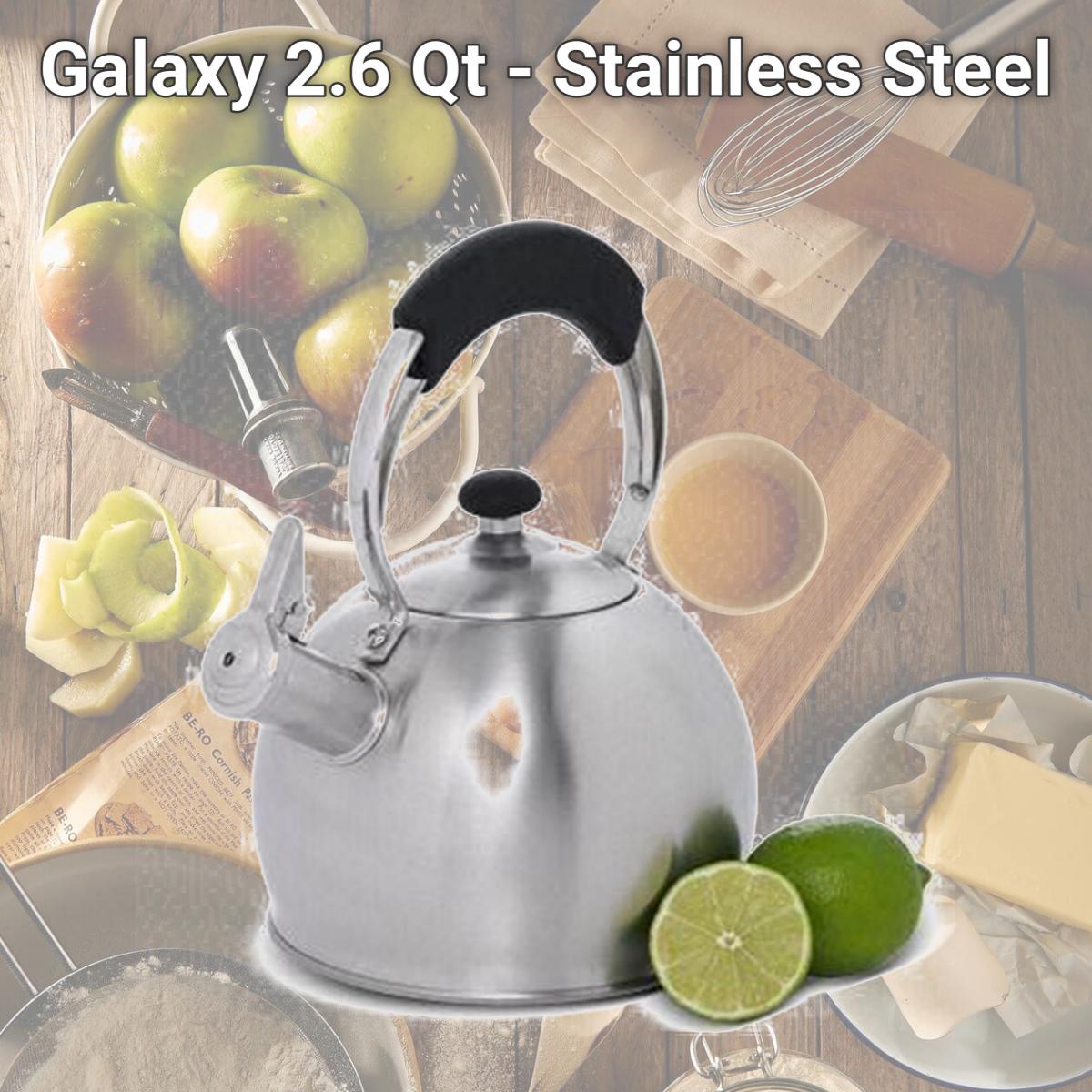 Picture of EVCO International 72221 Galaxy 2.6 Qt - Stainless Steel