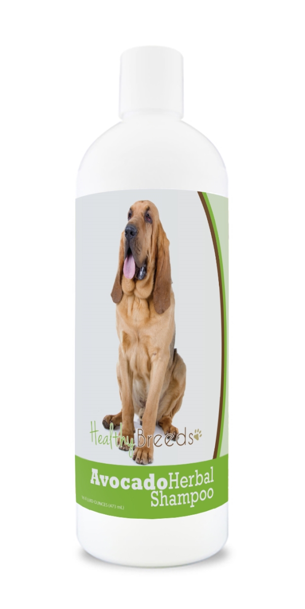 Bloodhound Avocado Herbal Dog Shampoo