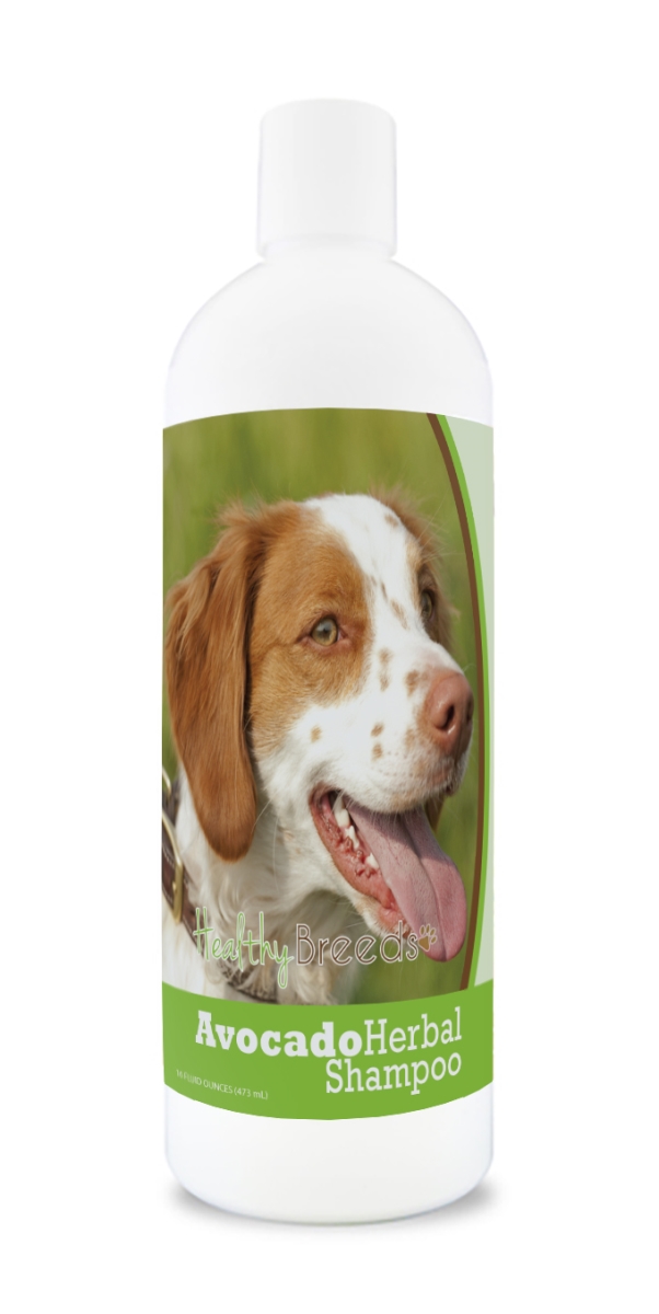 Brittany Avocado Herbal Dog Shampoo