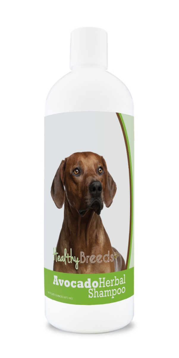 Rhodesian Ridgeback Avocado Herbal Dog Shampoo