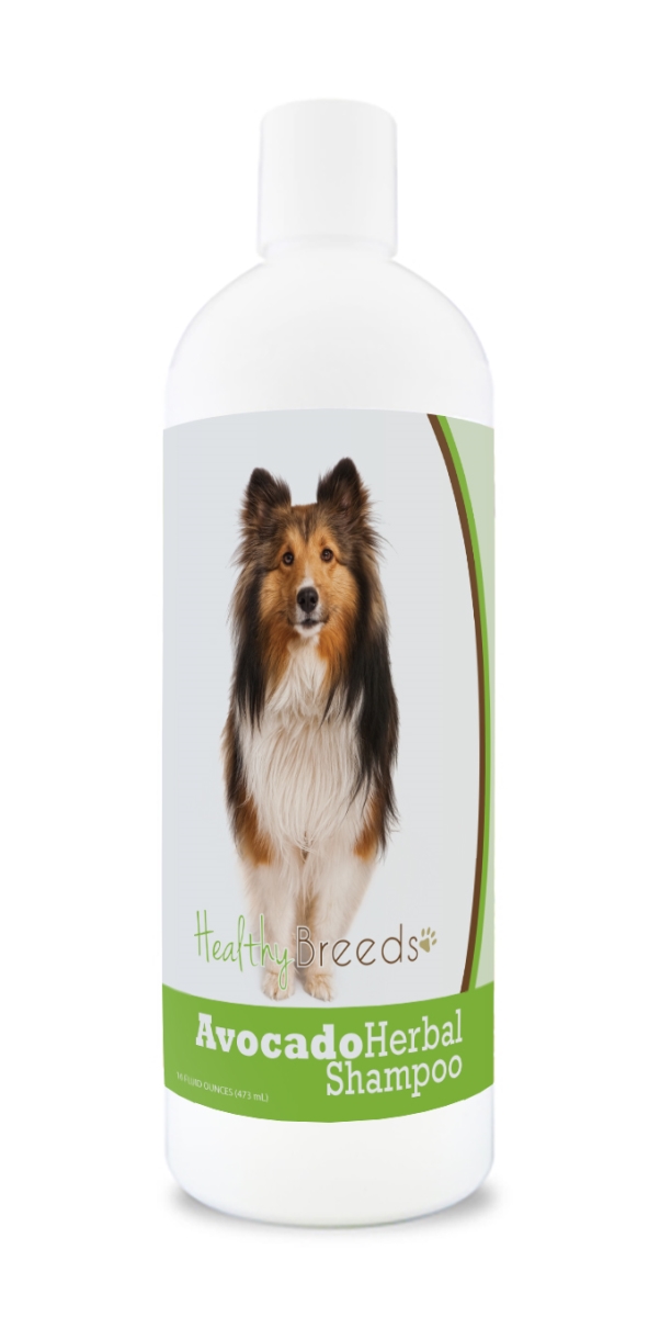 Shetland Sheepdog Avocado Herbal Dog Shampoo
