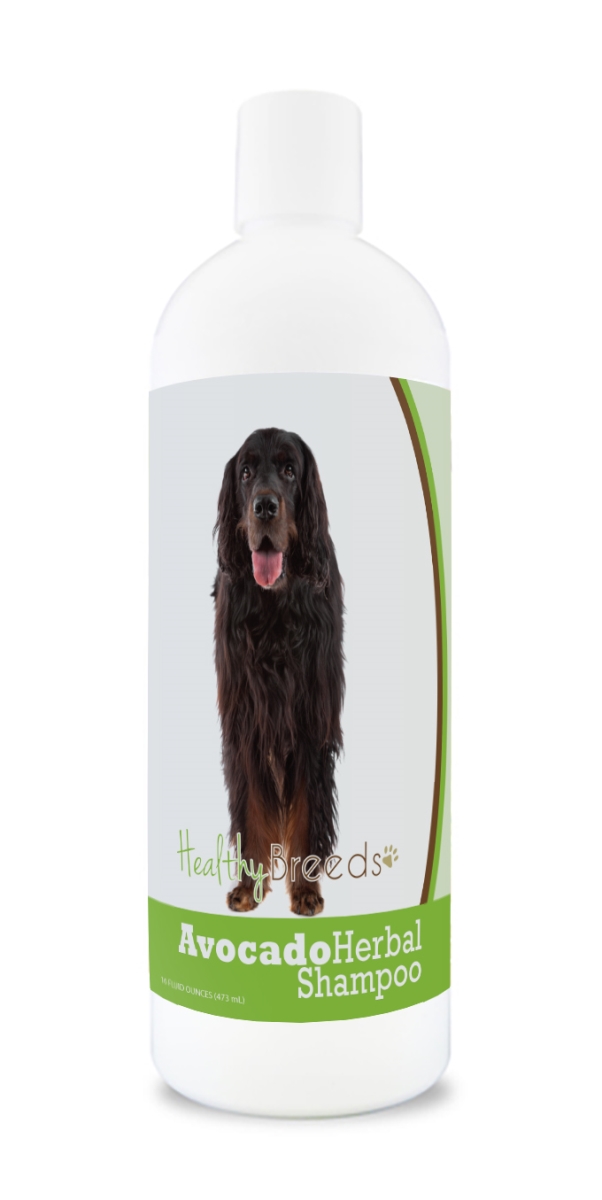 Gordon Setter Avocado Herbal Dog Shampoo