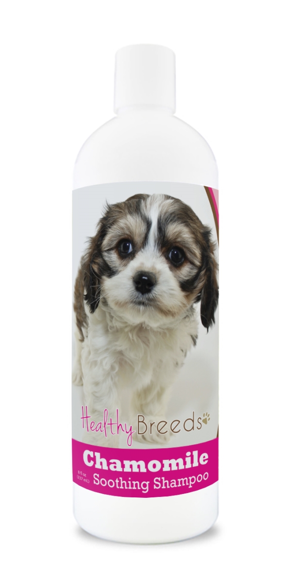 192959000061 8 Oz Cavachon Chamomile Soothing Dog Shampoo