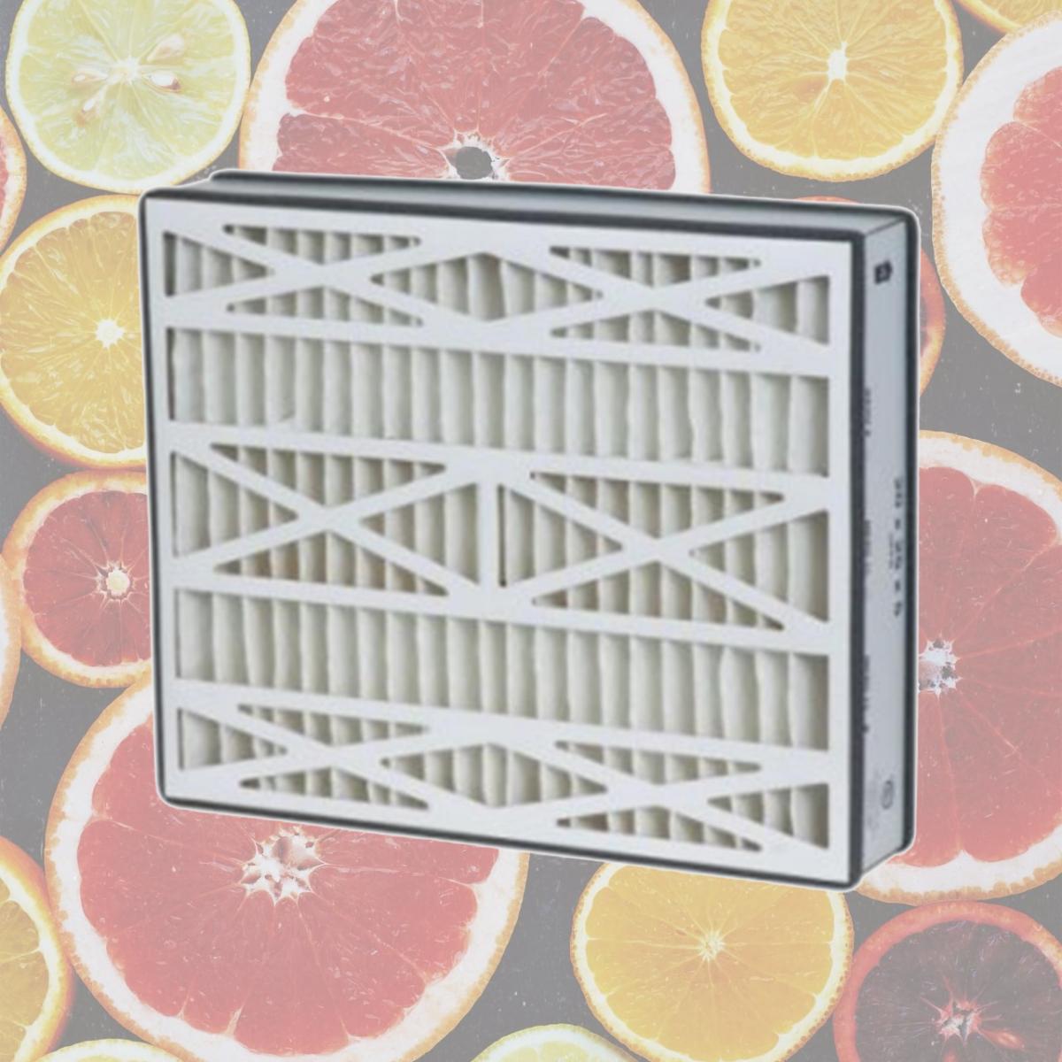 Picture of Merv DPFR20X25X5M11-DAR 11 Armstrong Air Filter-  Pack Of 2