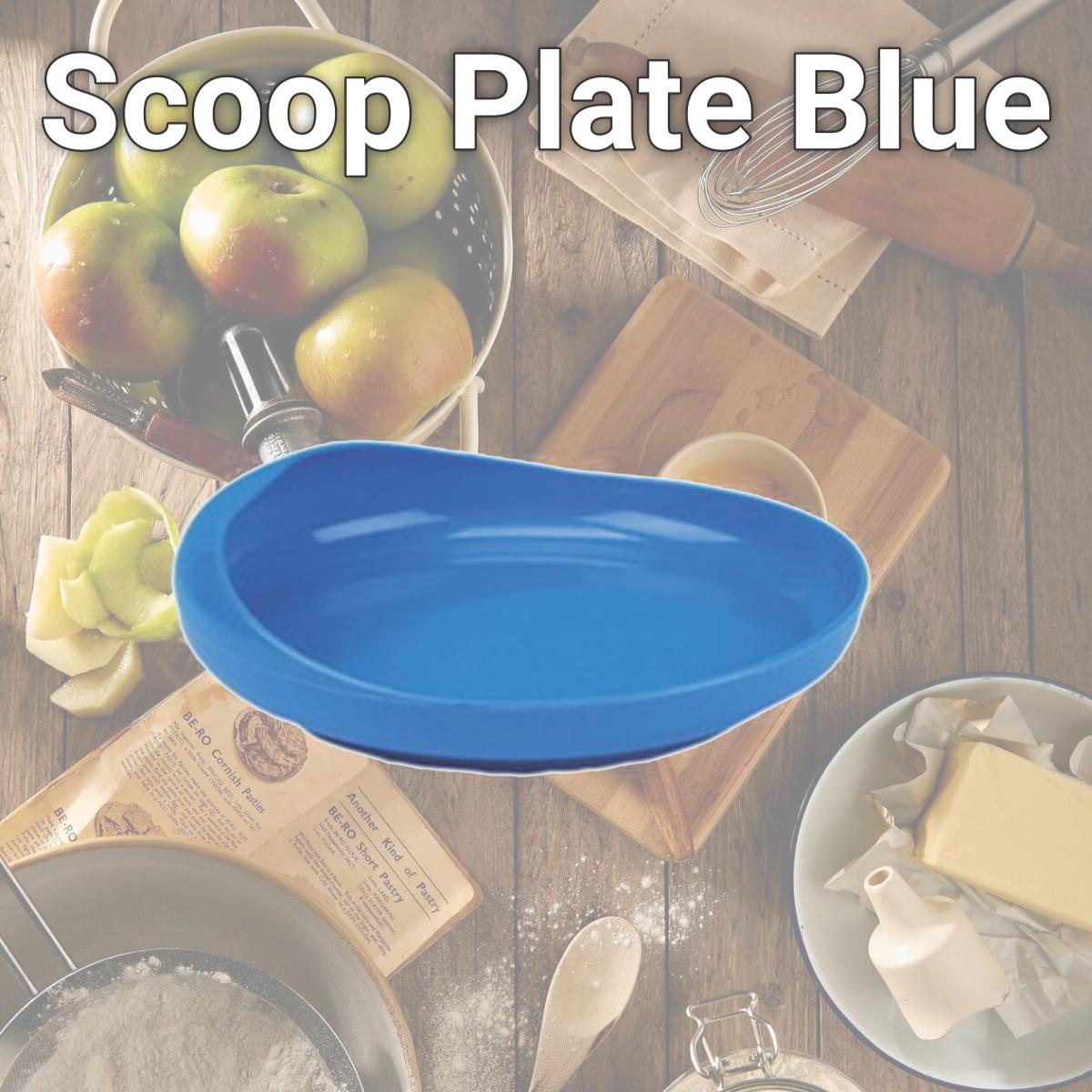 Picture of Fabrication Enterprises 62-0161 Scoop Plate, Blue