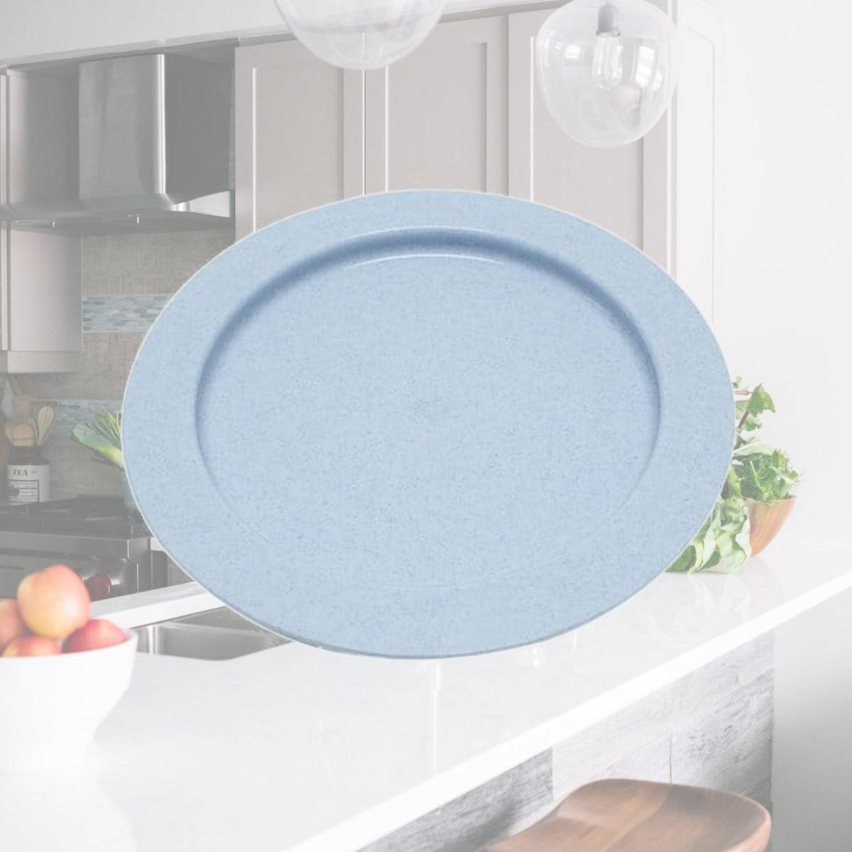 Picture of Fabrication Enterprises 62-0110 9 in. Inner Lip Plastic - Plate, Blue