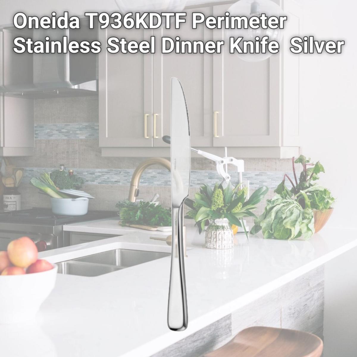 Picture of Oneida T936KDTF Perimeter Stainless Steel Dinner Knife  Silver