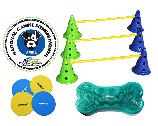 National Canine Fitness Month Kit
