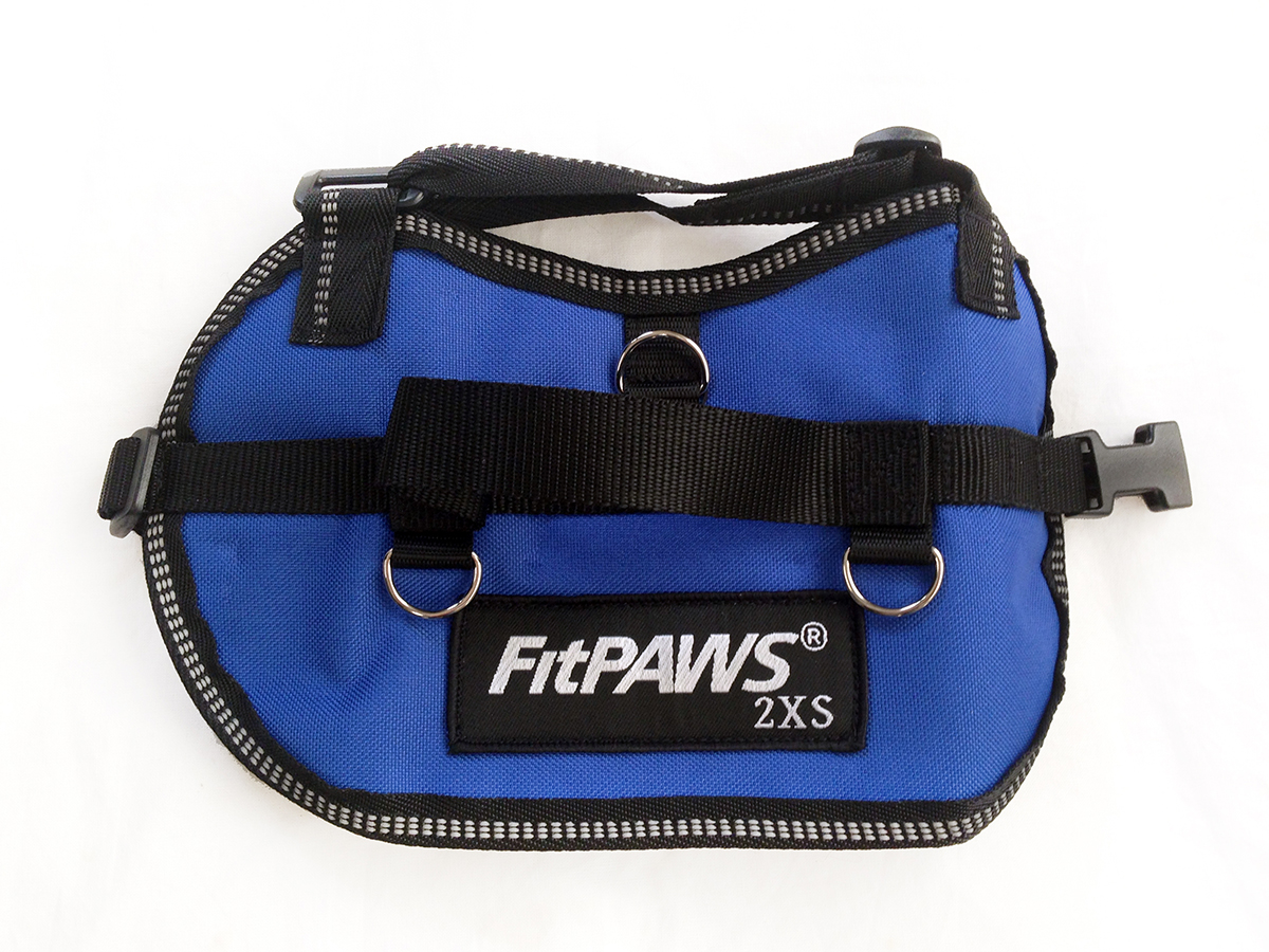 Fpehrblmd 76-86 Cm Safety Dog Harness, Blue - Medium