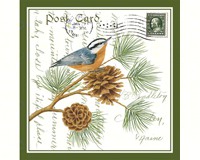 Ac18314 Nuthatch Gift Tote