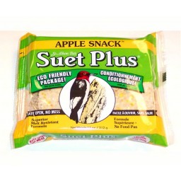 Wsc206 Apple Snack Suet Cake