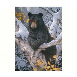 Om51802 Cobble Hill, Black Bear Jigsaw Puzzle - Pieces Of 1000