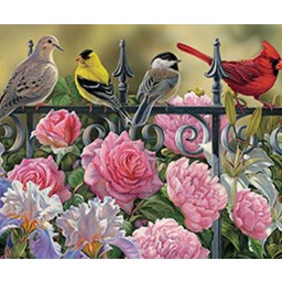 Om51817 Cobble Hill, Birds On A Fence Jigsaw Puzzle - Pieces Of 1000