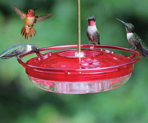 Coles Wild Bird Products Co Colesgchh03 Hummer High Rise Feeder