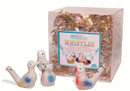 Streamaty136 Porcelain Bird Water Whistle Case