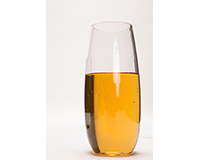 Ed1006 Ever Drinkware Champagne Glass