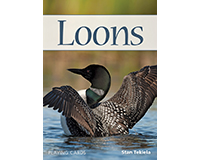Ap37821 Loons Playing Cards