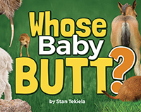 Ap37838 Whose Baby Butt Book