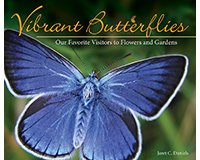 Ap37890 Vibrant Butterflies Our Favorite Visitors To Flowers & Gardens Book