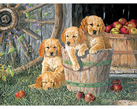 Om54590 Puppy Pail Family Puzzle, 350 Piece
