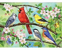 Om54606 Bloomin Birds Family Puzzle, 350 Piece