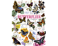 Om80015 Butterfly Collection Puzzle, 1000 Piece