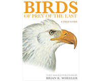 Pr978069111706 Birds Of Prey Of The East A Field Guide