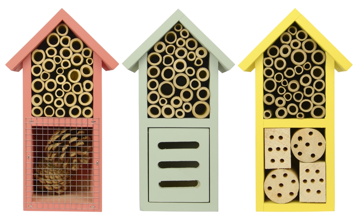 Nwpwh2ast Dual Chamber Insect House - 6 Piece