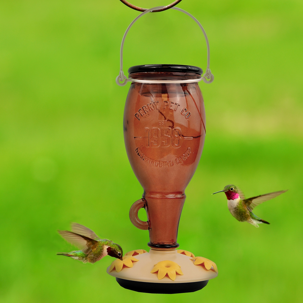 Pp9105 Sugar Maple Top-fill Glass Hummingbird Feeder - 2 Piece