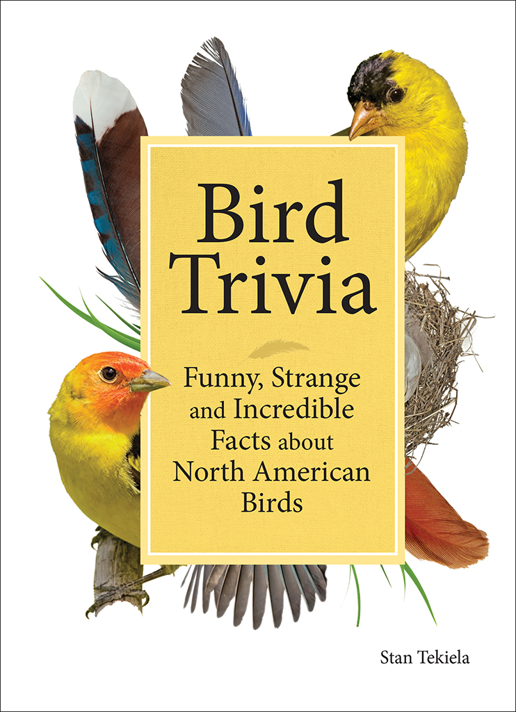 Ap38101 Bird Trivia Book