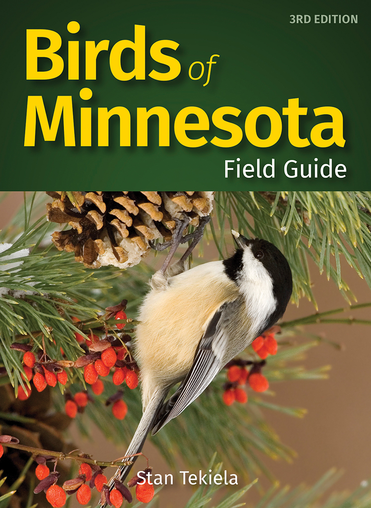 Ap38972 Birds Of Minnesota Field Guide
