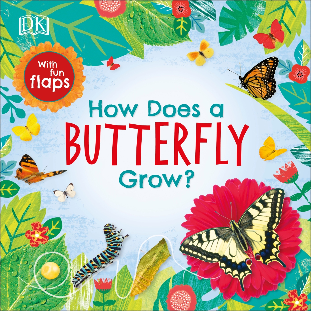Rh1465478672 How Does A Butterfly Grow