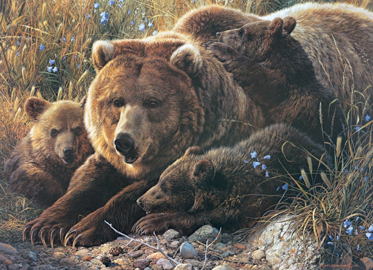 Outset Media Om54624 Grizzly Family - Family Puzzle, 350 Piece