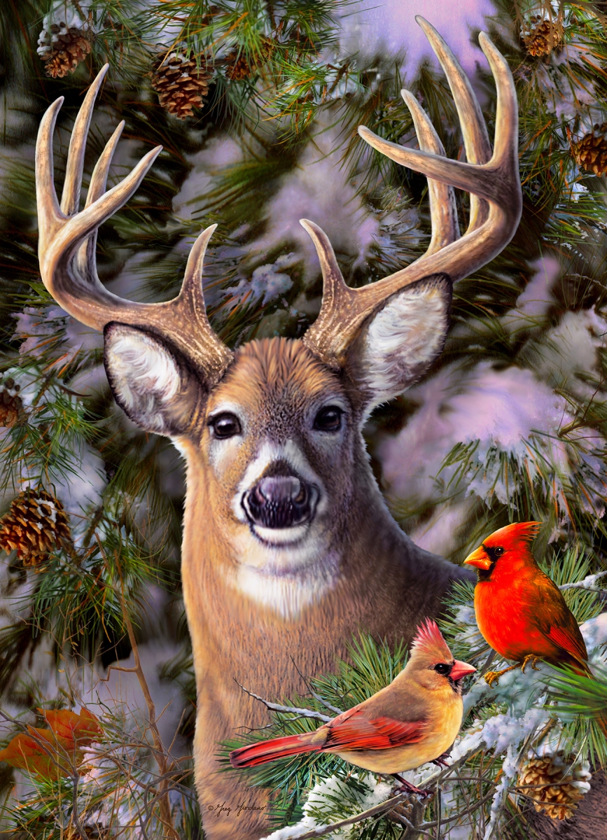 Outset Media Om85014 One Deer Two Cardinals Puzzle, 500 Piece