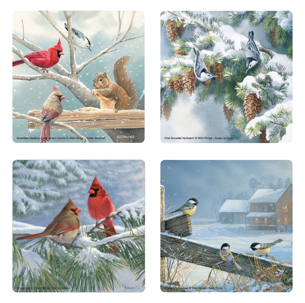 Mark Feldstein Mfcwwwb4 Winter Birds Glass Coaster, Set Of 4