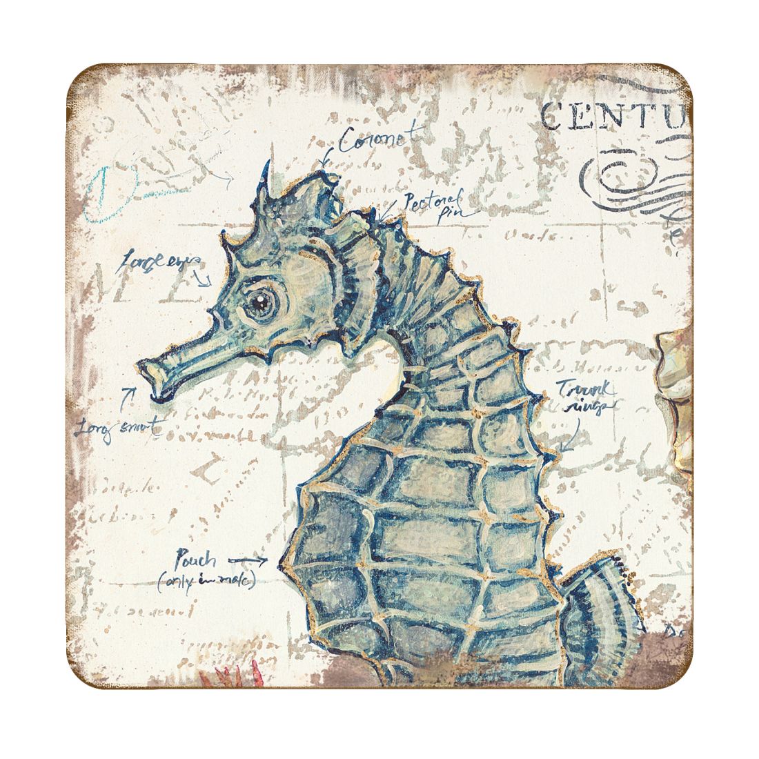 Picture of Nature Wonders 8198621C-S4 4 x 4 in. Seahorse Coastal Wooden Cork Coasters Gift - Set of 4