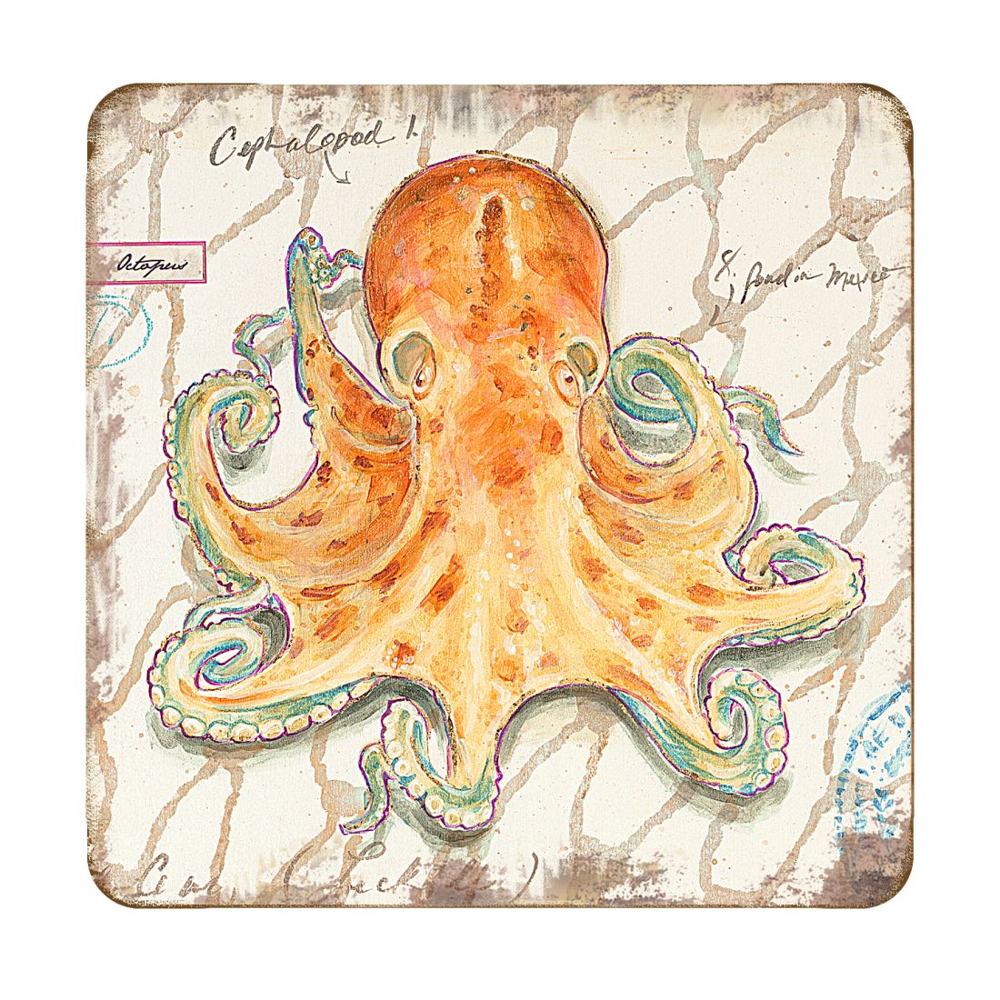 Picture of Nature Wonders 8198626C-S4 4 x 4 in. Octopus Coastal Wooden Cork Coasters Gift - Set of 4