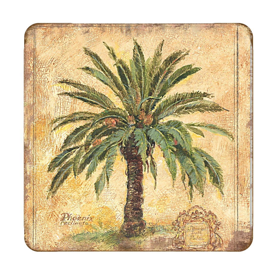 Picture of Nature Wonders 8198630C-S4 4 x 4 in. Palm Tree Coastal Wooden Cork Coasters Gift - Set of 4