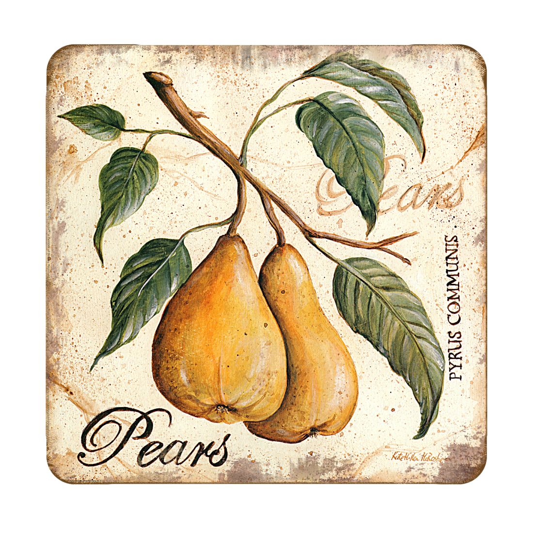 Picture of Nature Wonders 8198631C-S4 4 x 4 in. Pears Wooden Cork Coasters Gift - Set of 4
