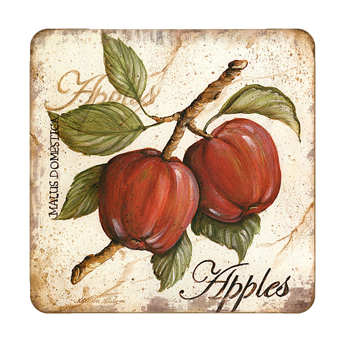 Picture of Nature Wonders 8198633C-S4 4 x 4 in. Pears Wooden Cork Coasters Gift - Set of 4