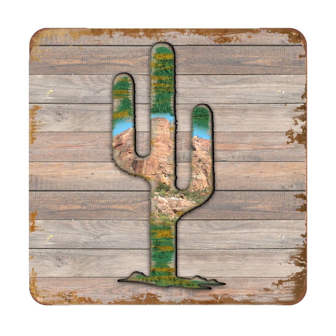 Picture of Nature Wonders 8199416C-S4 4 x 4 in. Cactus Wooden Cork Coasters Gift - Set of 4