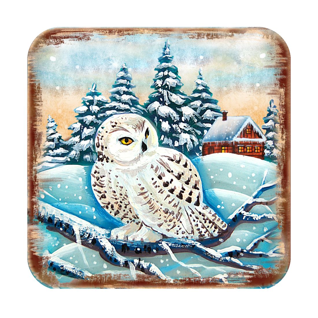 Picture of Nature Wonders 95213C-S4 4 x 4 in. Owl Wooden Cork Coasters Gift - Set of 4