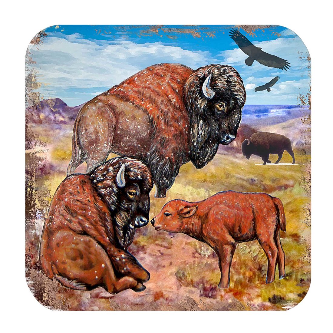 Picture of Nature Wonders 95217C-S4 4 x 4 in. Buffalos Wooden Cork Coasters Gift - Set of 4