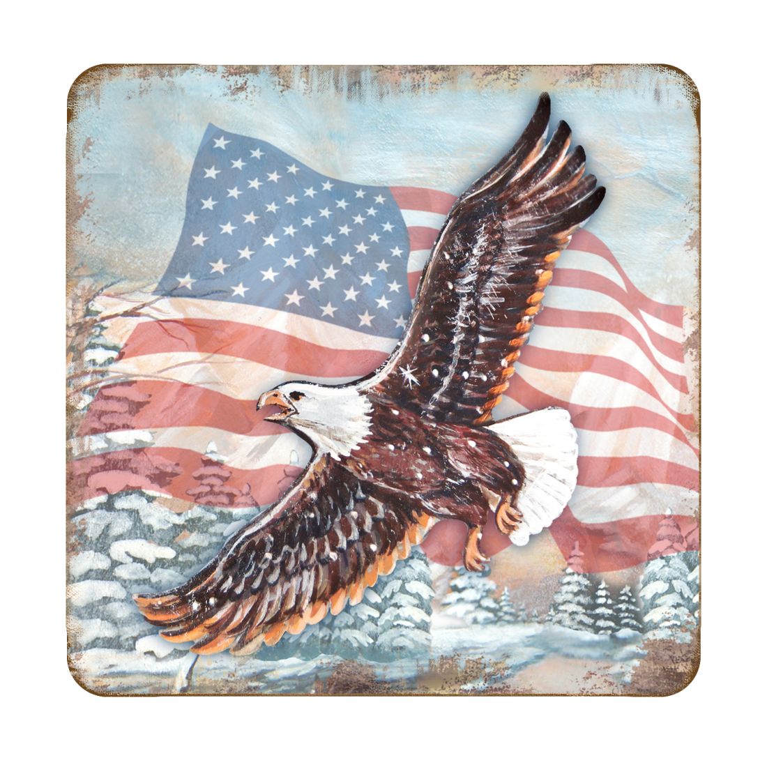 Picture of Nature Wonders 95221C-S4 4 x 4 in. American Eagle Wooden Cork Coasters Gift - Set of 4