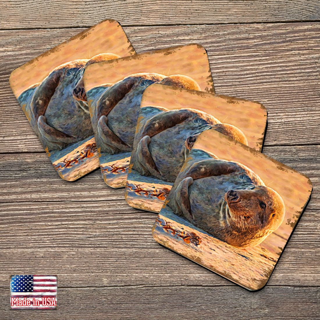 Picture of Nature Wonders 95260C-S4 4 x 4 in. Seal Coastal Wooden Cork Coasters Gift - Set of 4