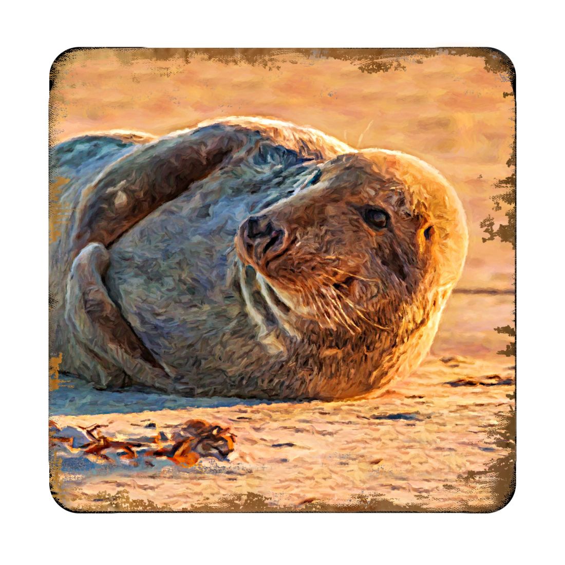 Picture of Nature Wonders 95260C-S4 4 x 4 in. Seal Coastal Wooden Cork Coasters Gift - Set of 4