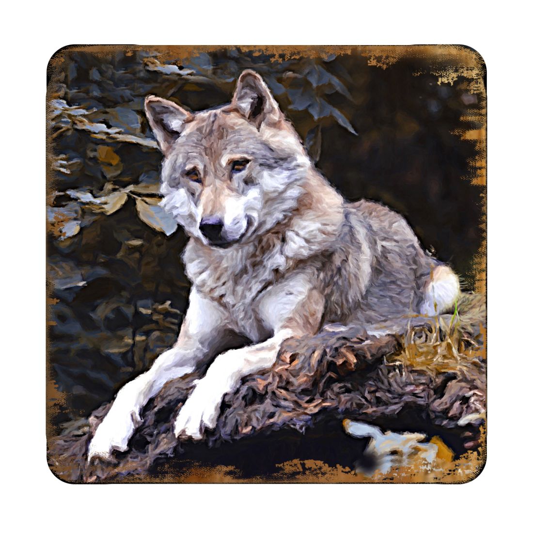 Picture of Nature Wonders 95287C-S4 4 x 4 in. Wolf Wooden Cork Coasters Gift - Set of 4