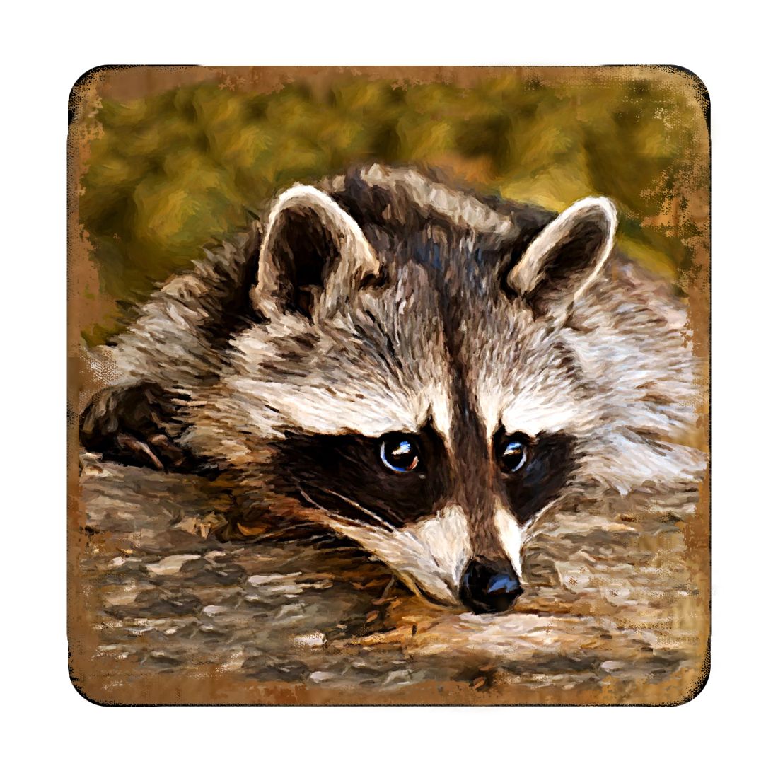 Picture of Nature Wonders 95289C-S4 4 x 4 in. Raccoon Wooden Cork Coasters Gift - Set of 4